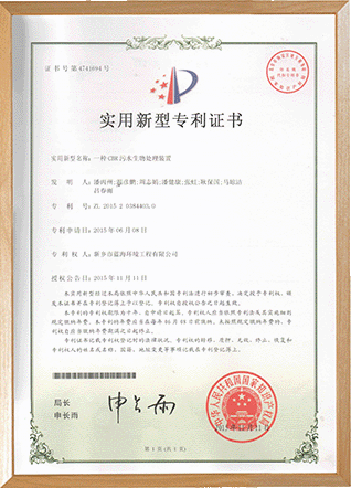 專(zhuān)利證書(shū)